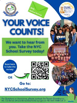NYC Survey Flyer (English)
